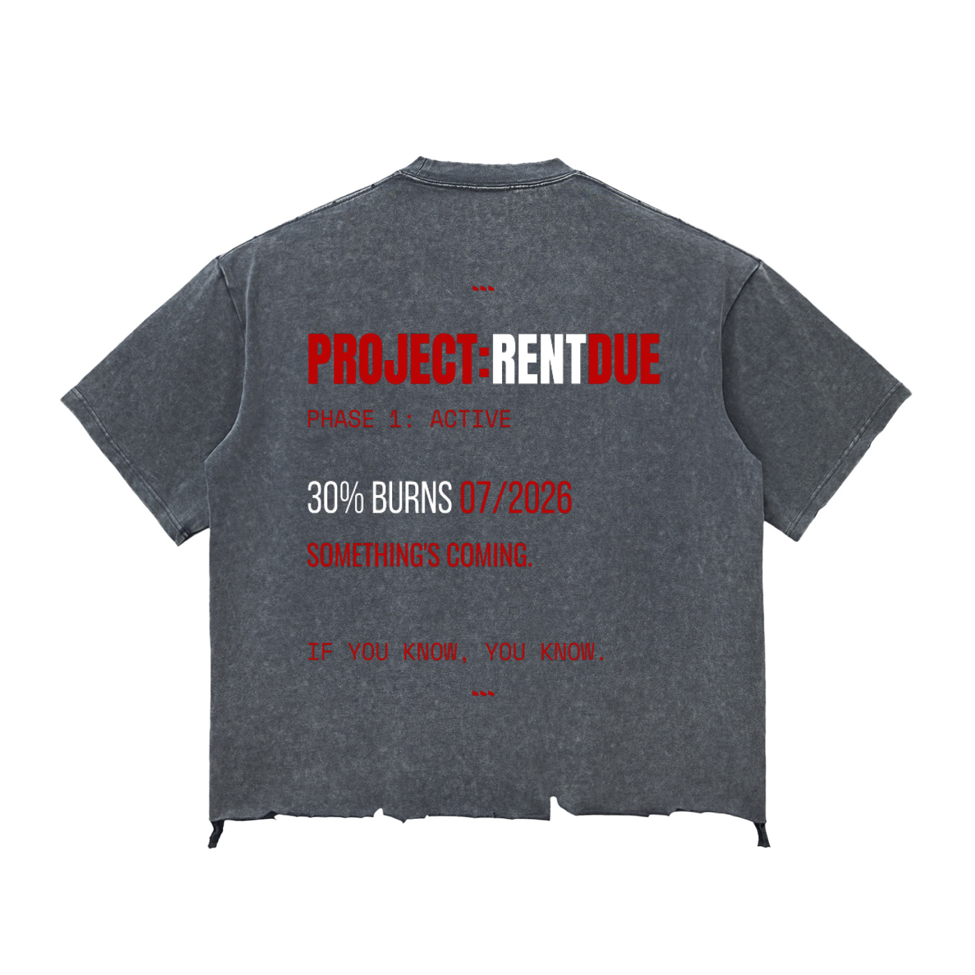 "THE PROPHECY" WASHED TEE